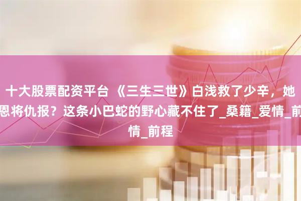 十大股票配资平台 《三生三世》白浅救了少辛，她却恩将仇报？这条小巴蛇的野心藏不住了_桑籍_爱情_前程