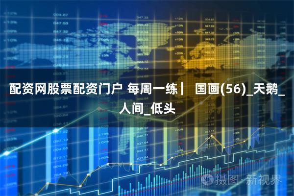 配资网股票配资门户 每周一练 ▏国画(56)_天鹅_人间_低头
